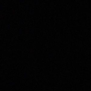 Meet your Posher, Nika